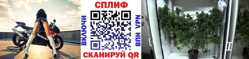 Купить закладку МАРИХУАНА Мефедрон Кокаин ГАШ Нарьян-Мар