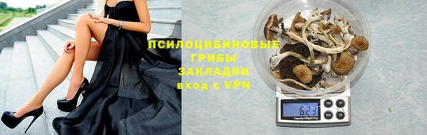 амф Каменка