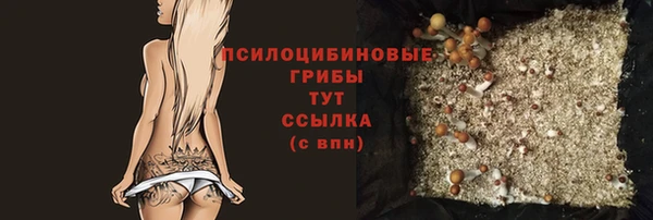 jwh Каменногорск
