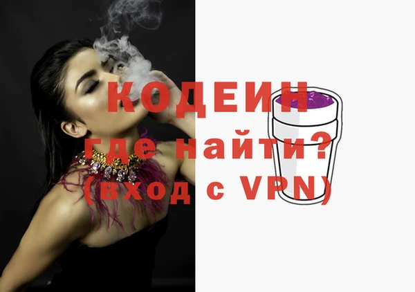 амф Каменка