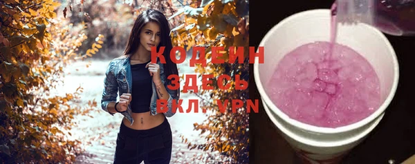 амф Каменка