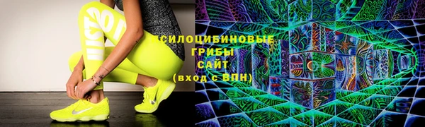 PSILOCYBIN Каменск-Шахтинский