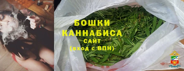 амф Каменка