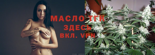 амф Каменка